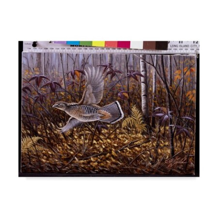 Trademark Fine Art Wilhelm Goebel 'Silver Streak Ruffed Grouse' Canvas Art, 35x47 ALI33766-C3547GG